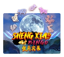 Sheng Xiao Bingo - AGENT188