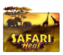 Safari Heat - AGENT188