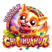 CHILIHUAHUA - AGENT188