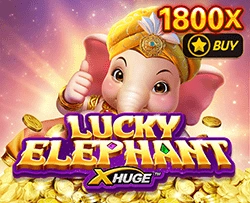 Lucky Elephant X-Huge - AGENT188