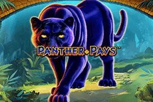 Panther Pays - AGENT188