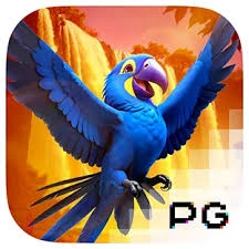 Wings of Iguazu - AGENT188