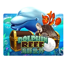 Dolphin Reef - AGENT188