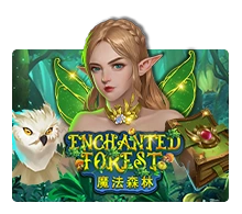 Enchanted Forest - AGENT188